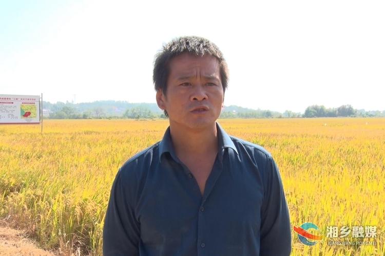 二十大时光&middot;我眼中的热词