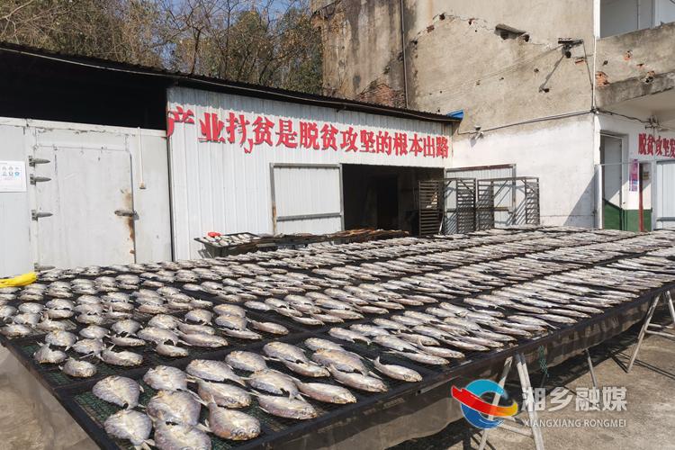 湘乡味道丨水府火焙鱼 科技赋能下的家乡烟火气