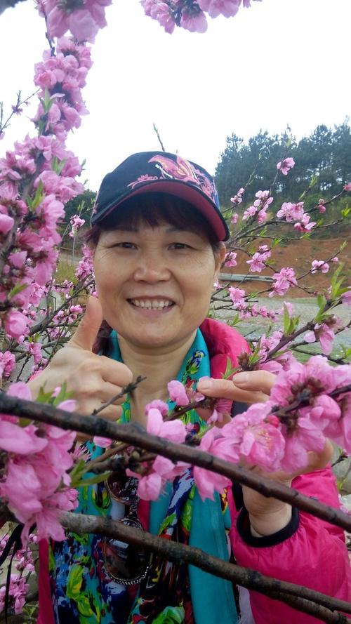 桃花映科技 湘乡赏桃花之行